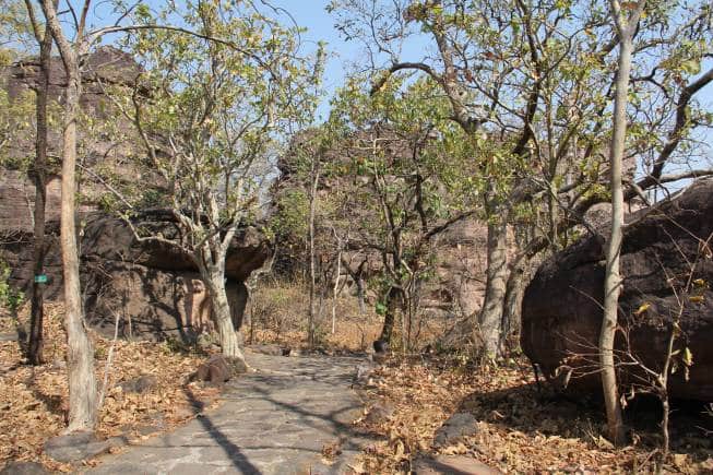 Bhimbetka caves in Madhya Pradesh are India's oldest caves with prehistoric art. (Photo: Kalpana Sunder)