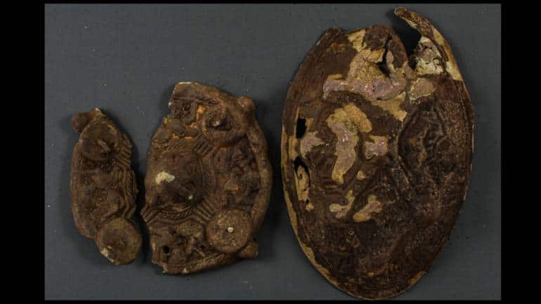 Family finds Viking relics in backyard while looking for lost earring - Vimarsana News