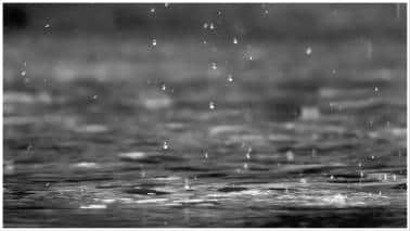 Heavy rain lashes parts of Jharkhand, woman swept away in drain