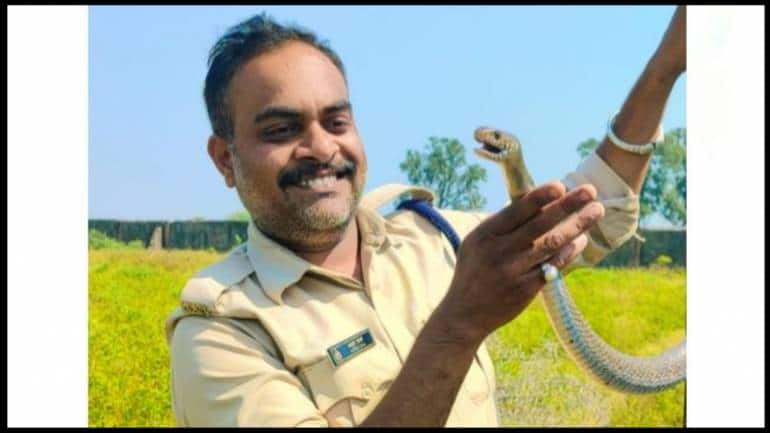 Watch: Venomous snake spotted in Margalla Hills