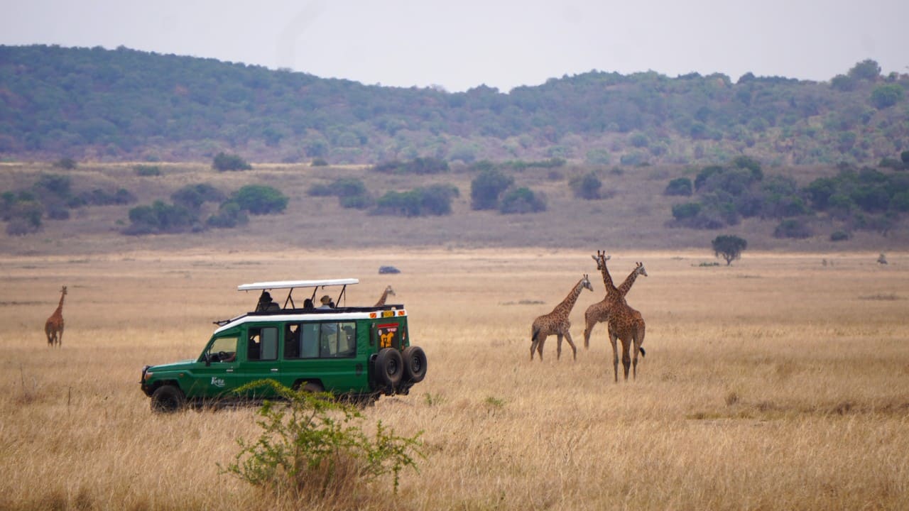 4 national parks to explore the diversity of Rwanda