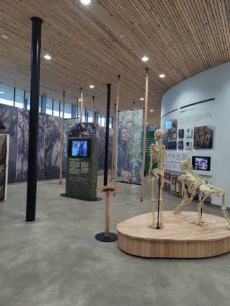 Museum at the Ellen DeGeneres Campus, Rwanda. (Photo: Kalpana Sunder)