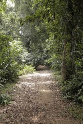 Jawaharlal Nehru Tropical Botanical Garden, Palode, Trivandrum