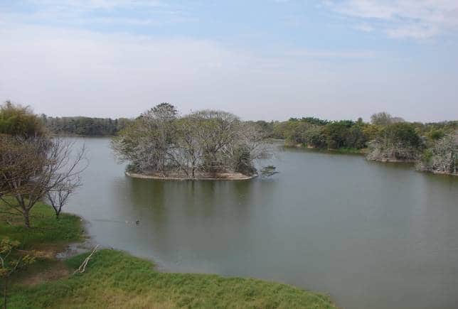 Karanji lake, Mysore