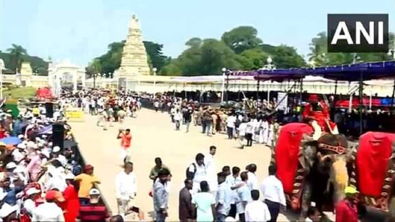 Mysuru- the palace city of Karnataka is all decked up for Vijaya Dashmi, which will also mark the grand finale of the 10-day long world renowned 'Mysuru Dasara' celebrations. (Image: ANI)