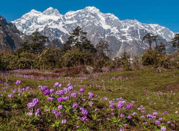 Sikkim in October. (Photo Sikkim Tourism website)