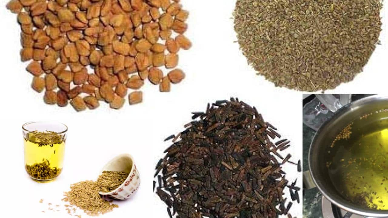 Cumin Seed PNG Transparent Images Free Download | Vector Files | Pngtree