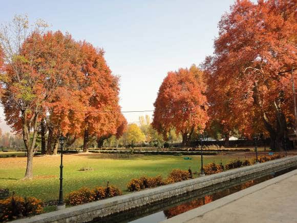 Autumn in Kashmir, Mughal Garden, Verinag. (Photo: Wikimedia Commons)