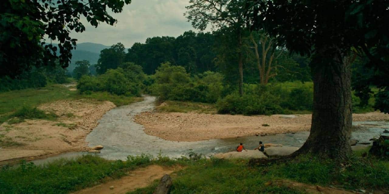 Jungles near Maromar in Palamou, Jharkhand, in a still from the film.