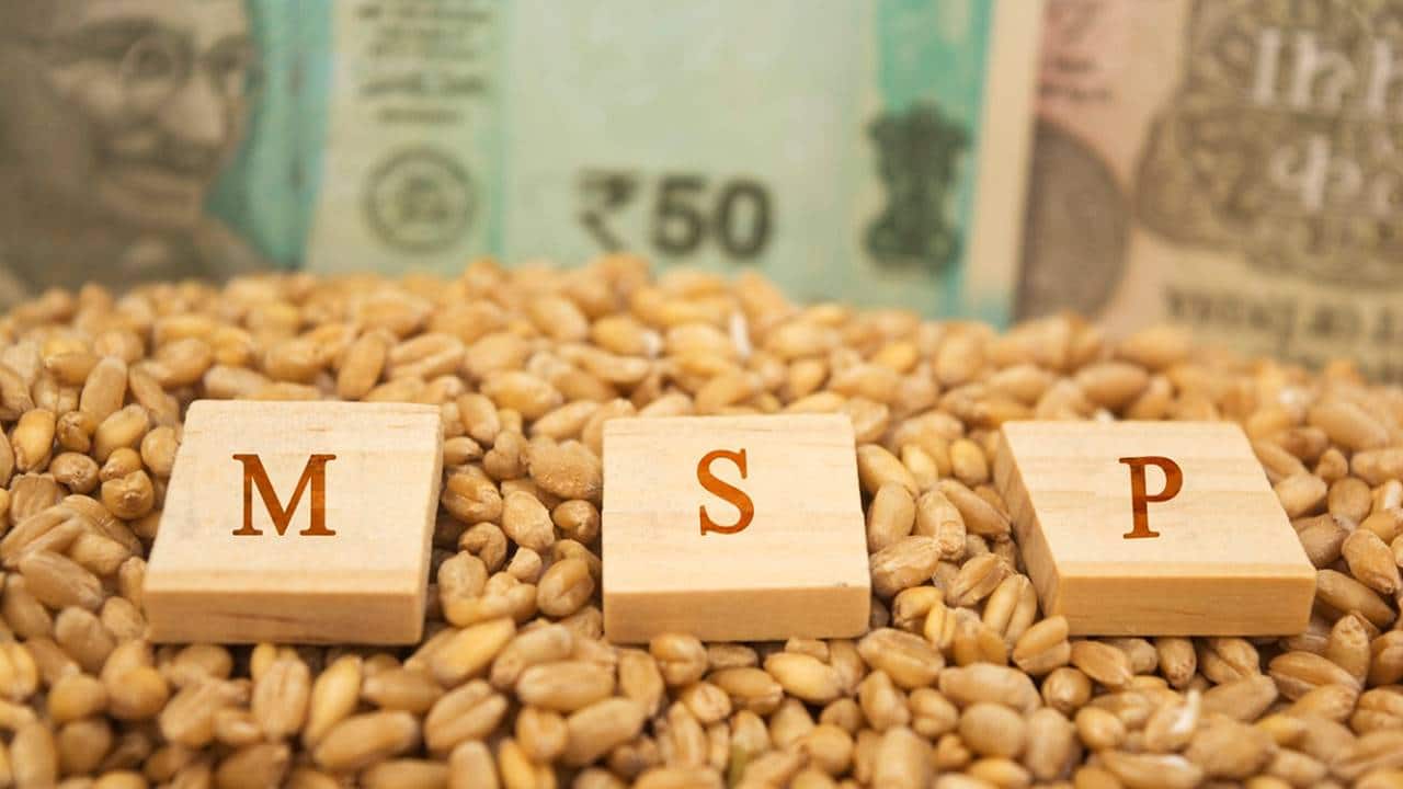 FCI’s Rs 10,700 crore equity boost to aid inflation control, cut food subsidy bill, say experts
