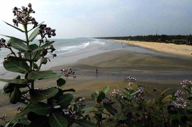Payyambalam Beach, Kannur. (Photo: Kerala Tourism)