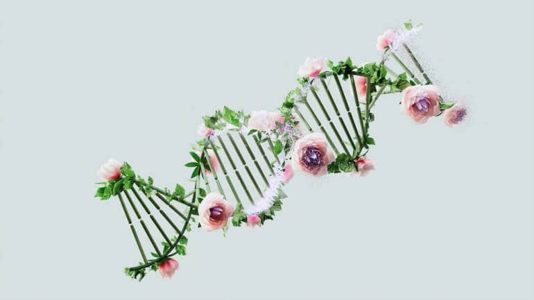 9 hallmarks of ageing at the cellular level, and what we can do about them - Vimarsana News