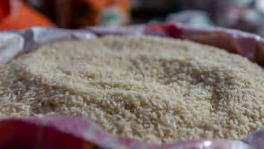 India's rice export ban is hurting the Global South