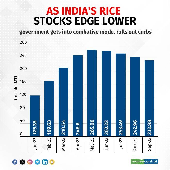 rice stocks