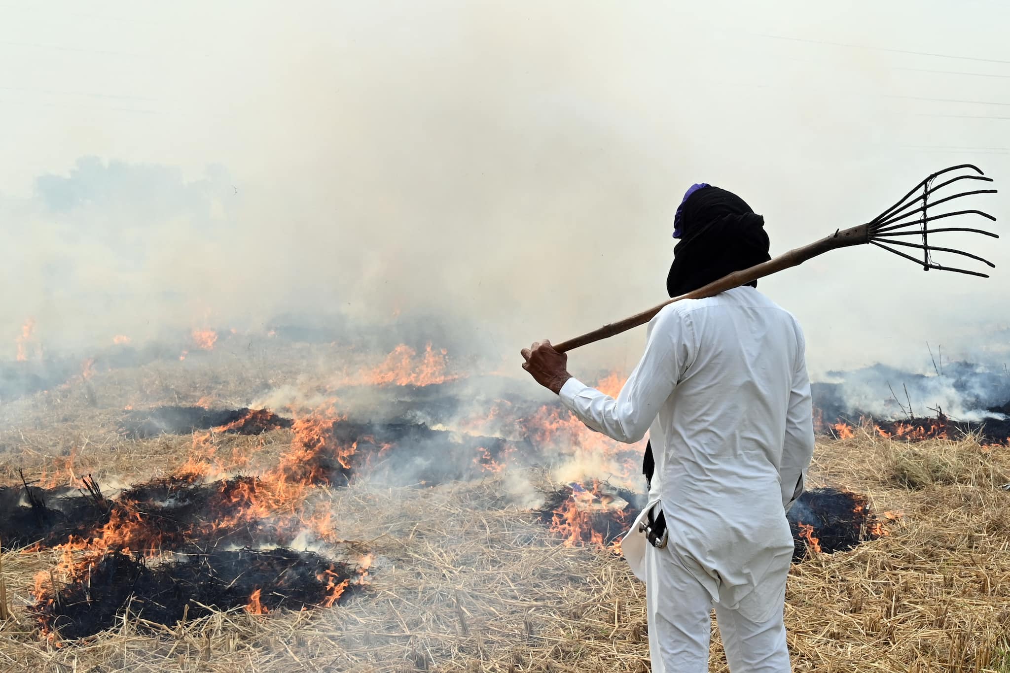 Want to stamp out farm fires? Higher MSP for alternative crops may be the way Want to stamp out farm fires? Higher MSP for alternative crops may be the way