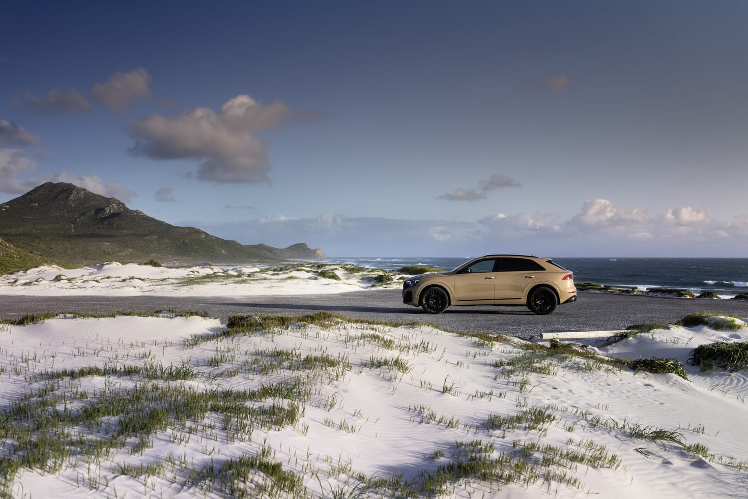 Audi Q8 side Horizontal long