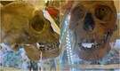 Anthropologist finds human skull while shopping in US thrift store. Full story