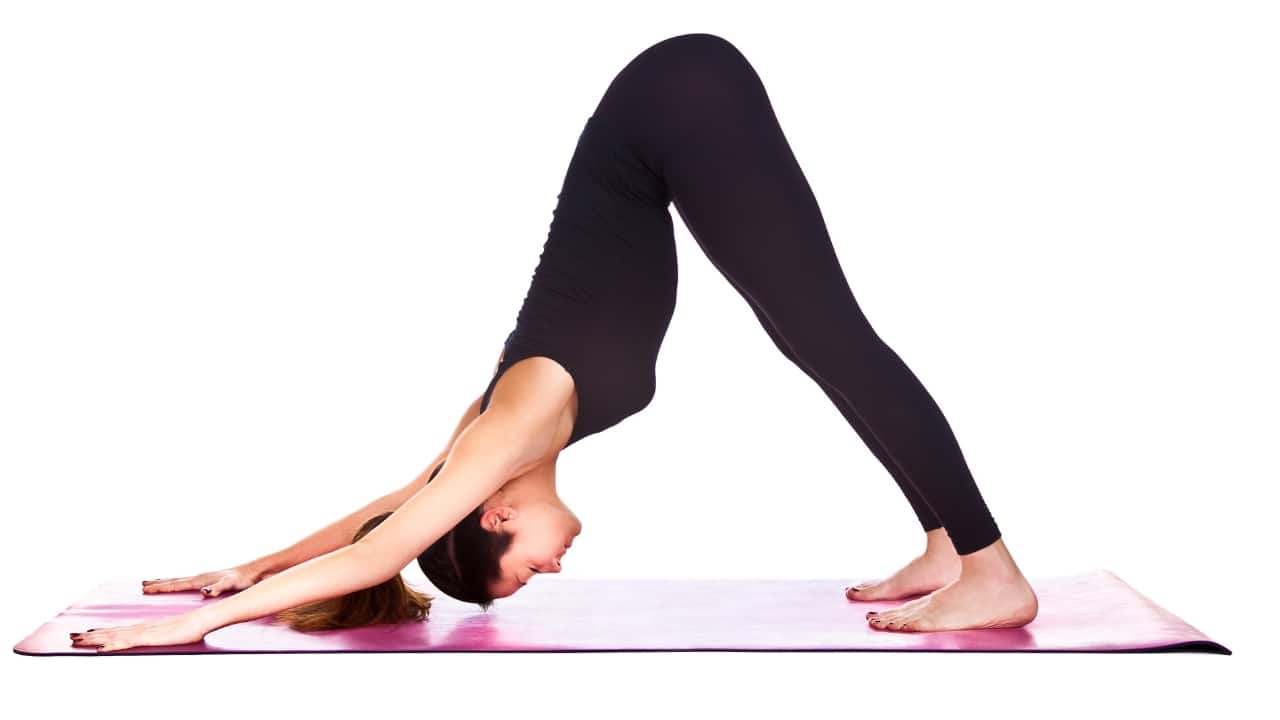 Various Yoga Poses Set Healthy Lifestyle Stock Illustration - Download  Image Now - Yoga, Illustration, Posture - iStock