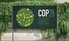 Explainer: Why the Global South will have a key role to play at COP28