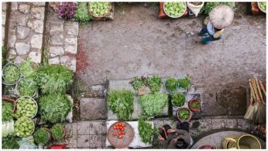 August CPI shows encouraging signs in food disinflation