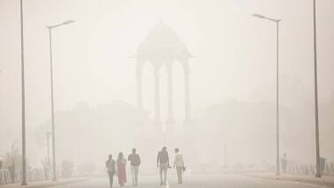 India’s choking Diwali smoke billows from a failed farm policy