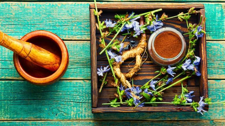 Health benefits of Chicory Roots (Image: Canva)