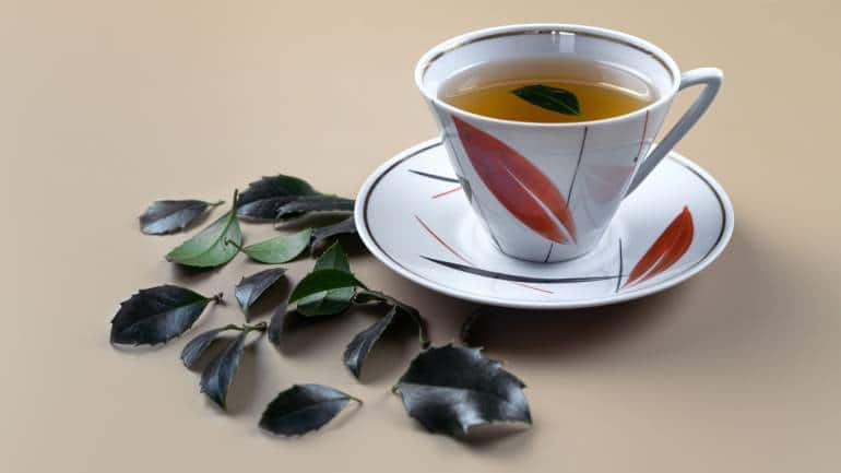 Health benefits of Yaupon (Image: Canva)