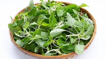 Health benefits of amaranth leaves (Image: Canva)