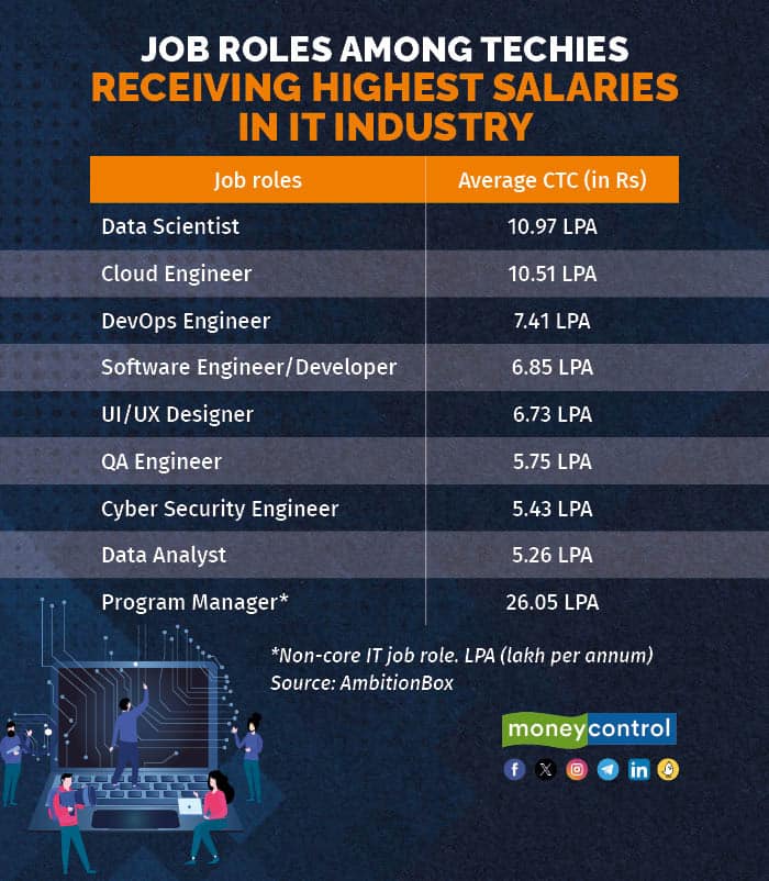 Job roles among techies