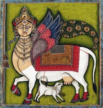 "Kamadhenu, The Wish-Granting Cow Made in Rajasthan, India  c. 1825-55  Artist/maker unknown, India, Rajasthan, Jodhpur or Nathadwara  Opaque watercolor and metallic pigments on paper 5 x 5 inches (12.7 x 12.7 cm)  This vision of Kamadhenu, the Wish-Granting Cow, combines the white zebu cow with the crowned frontal female face, colourful "eagle" wings, and peacock tail of Buraq, the animal that the prophet Muhammad rode to heaven in his night journey (Miraj). From at least the fifteenth century, Persian paintings showed Buraq with a horse's body, wings, and woman's face; the peacock tail may have been an Indian addition. Popular images of Kamadhenu in India today often show her as in this painting, which may be one of the earliest images to merge the visual characteristics of the Hindu Kamadhenu with the Islamic Buraq." Datecirca 1825-55