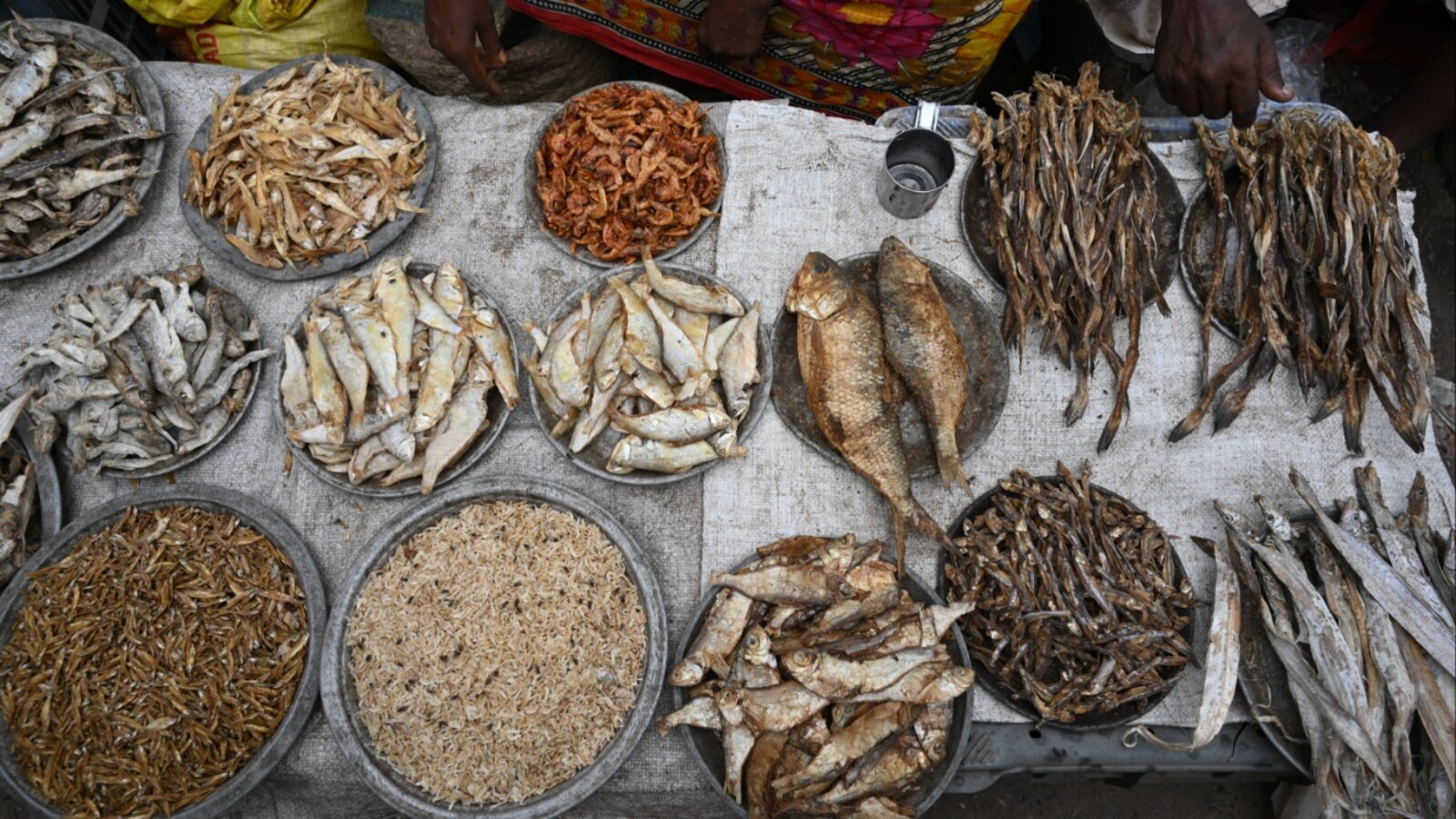 Pakistani Fisherman's Million-Rupee Catch