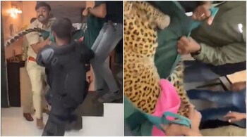 The leopard being carried out of the house by forest officials. (Image credit: @NagpurKaRajini/X)