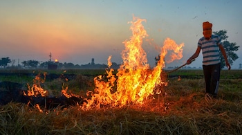 Stubble burning