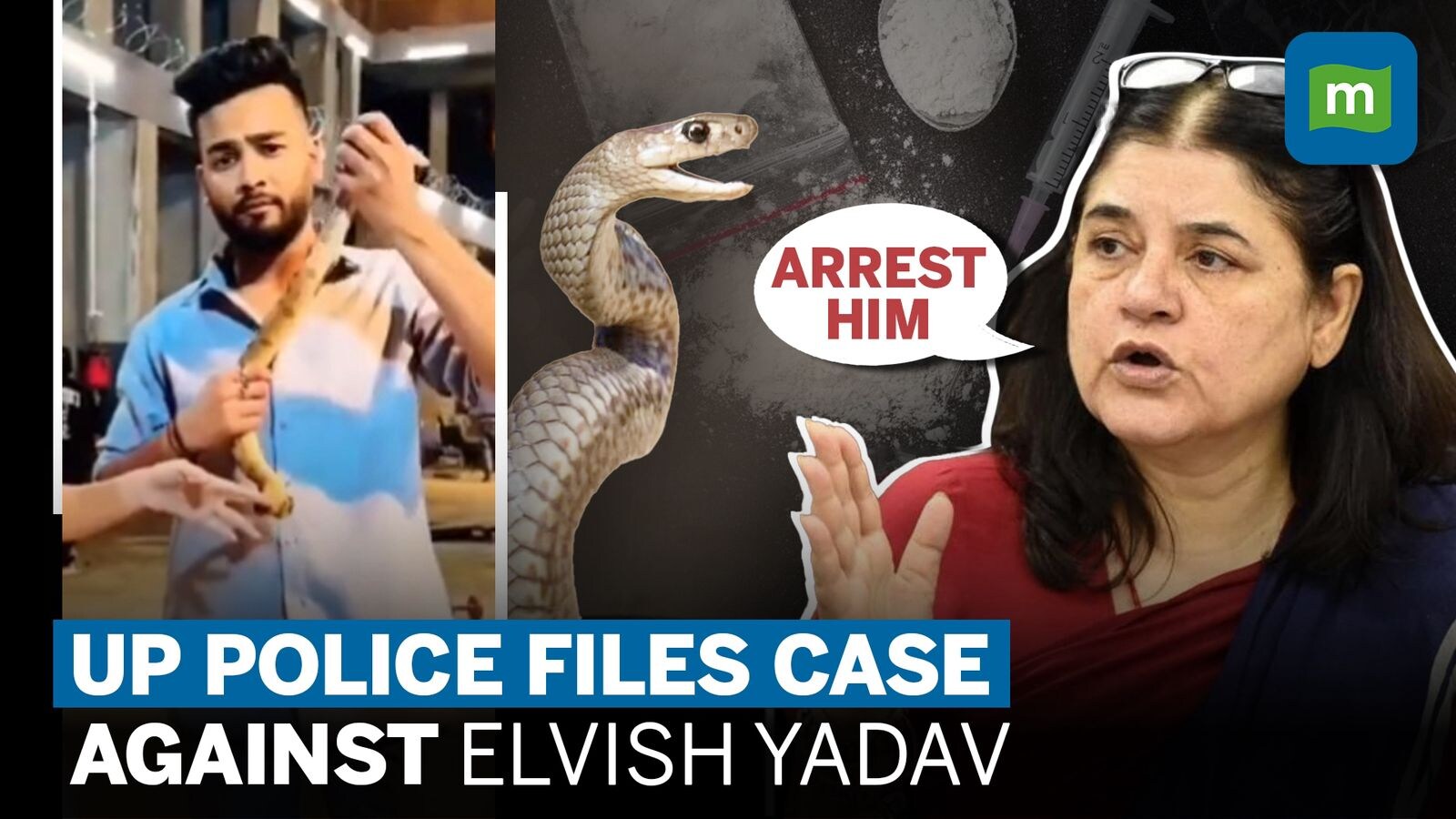 Elvish Yadav, 'Big Boss' winner and r, booked for alleged  involvement in snake-infused rave parties; Who is he?
