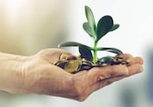 Investing in an ESG fund? Look for greenwashing risks in its disclosures