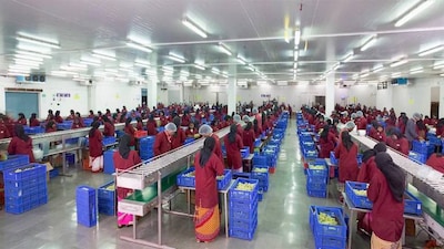 Agritech DeHaat acquires Freshtrop Fruits’ export business