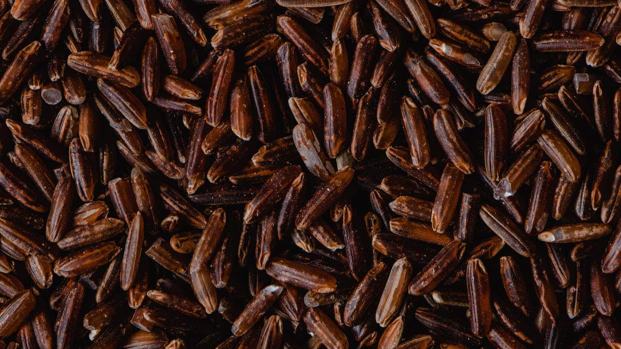 Black rice contains the same antioxidant type that gives “superfoods” like blueberries and blackberries their deep purple colour. (Photo by Eva Bronzini via Pexels)