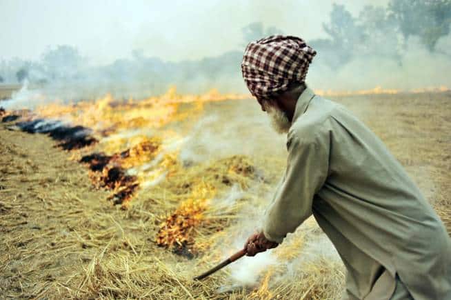 Punjab records 637 farm fires as farmers continue to set paddy straw ablaze - Vimarsana News