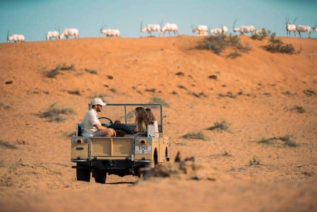 Al Wadi Desert in Ras al Khaimah, the UAE.