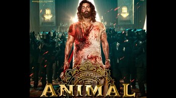 Animal performs well at the box office.