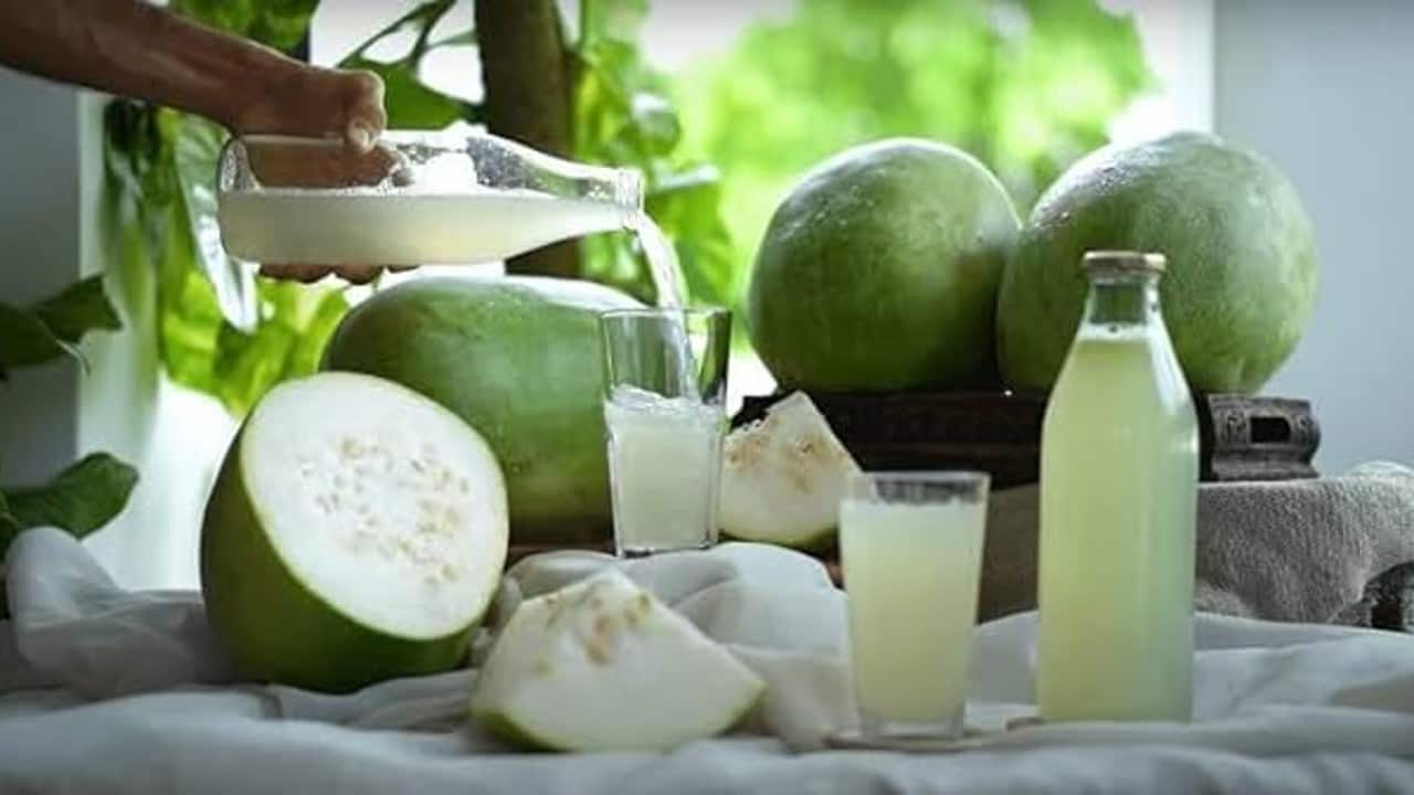 Ash gourd juice for weight clearance loss