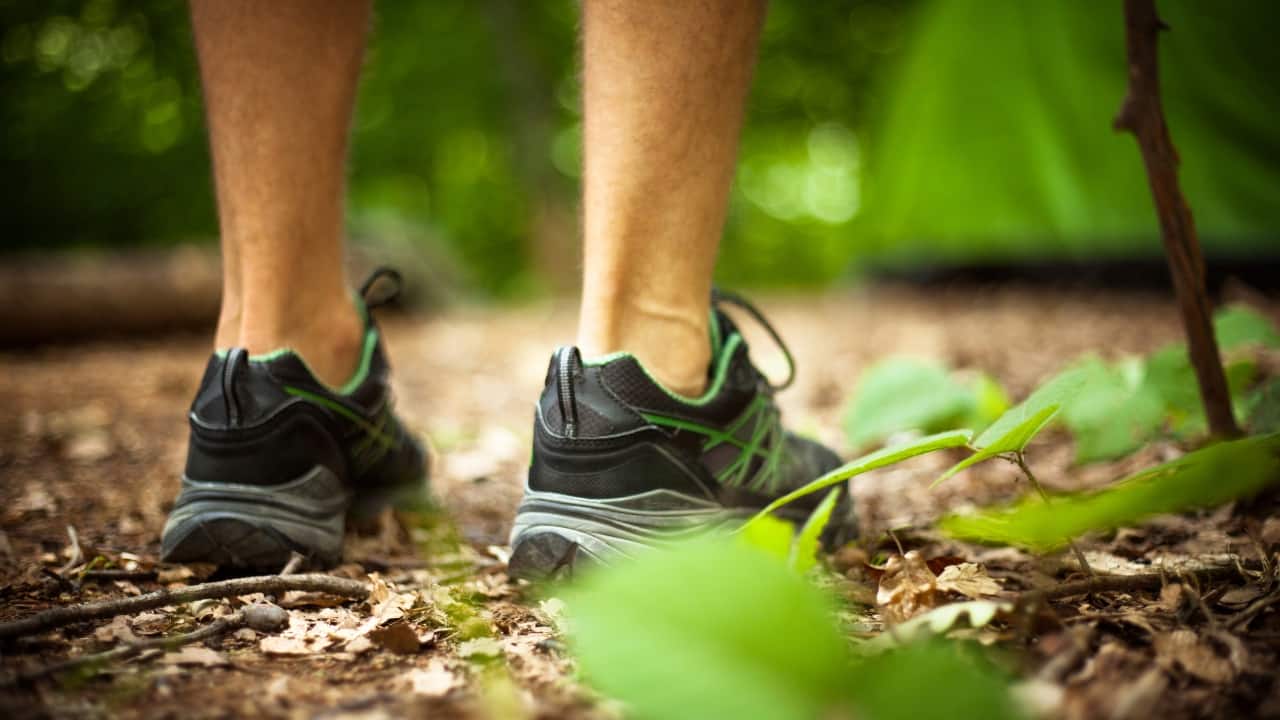 Healing power of nature: 6 spiritual and mental benefits of spending time in nature