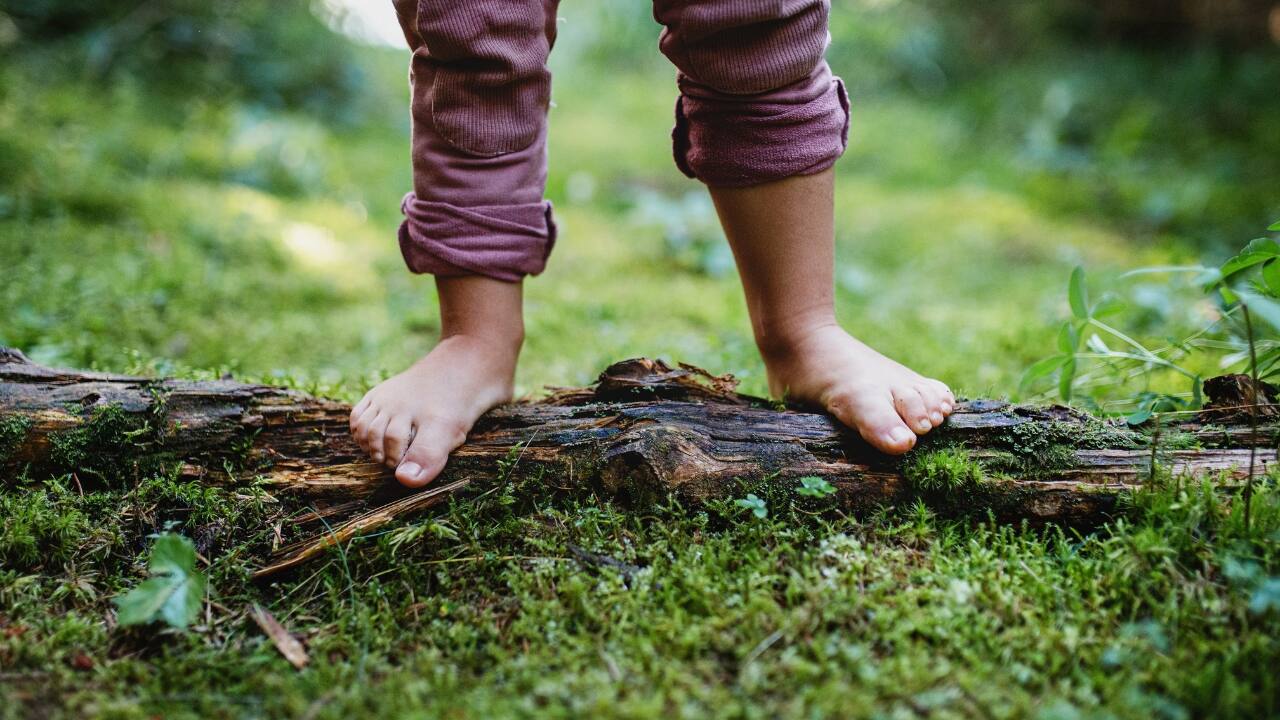 Stress and anxiety pulling you down? Beat it with nature therapy, improve your mental health Stress and anxiety pulling you down? Beat it with nature therapy, improve your mental health