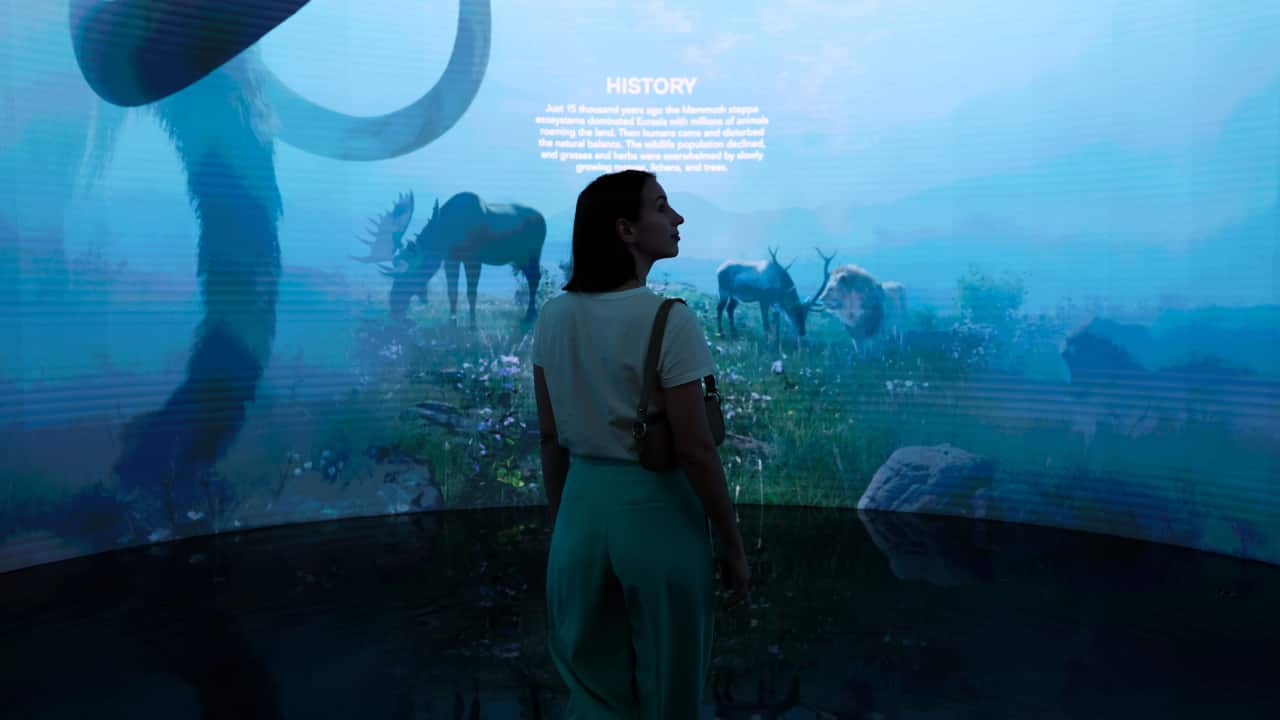 Russian billionaire uses COP to push revival of woolly mammoths