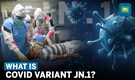COVID Cases in Kerala | What Are The Symptoms Of New Omicron Subvariant JN.1?