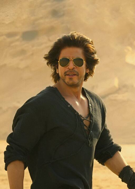 Shah Rukh Khan in Dunki (Image via X.@Roninx___ )