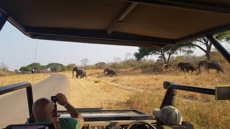 Game-viewing drive in Zimbabwe.