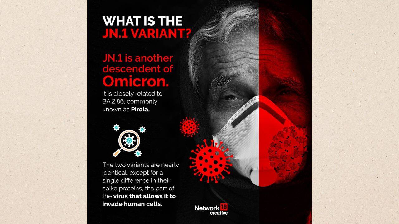 Except for a single variation in their spike proteins, which allow the virus to penetrate human cells, the JN.1 and Omicron versions are almost identical. (Image: NW18 Creative)