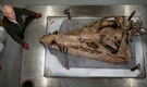 Giant skull of ‘Jurassic sea monster’ discovered in UK Giant skull of ‘Jurassic sea monster’ discovered in UK