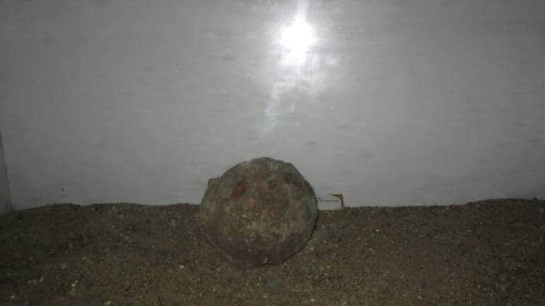 In Madhya Pradesh, holy 'stone balls' worshipped by villagers turn out to be dinosaur eggs - Vimarsana News